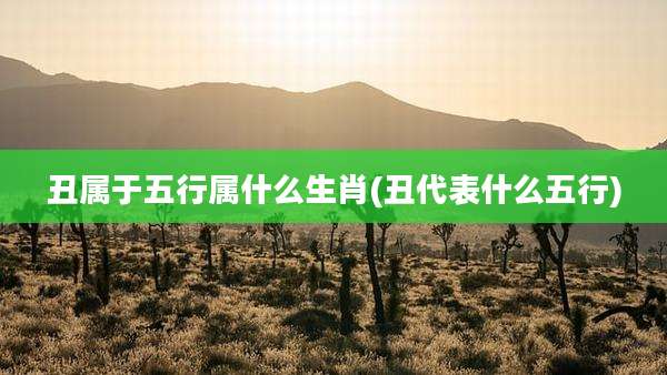 丑属于五行属什么生肖(丑代表什么五行)