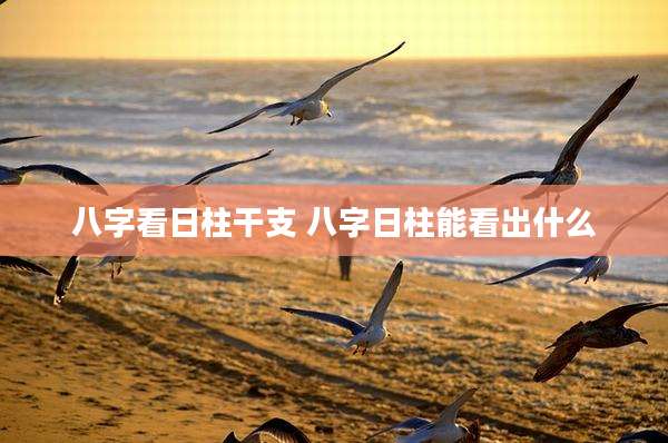 八字看日柱干支 八字日柱能看出什么