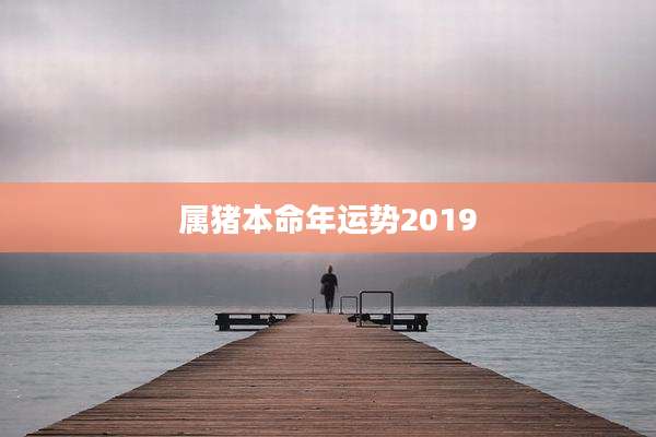 属猪本命年运势2019