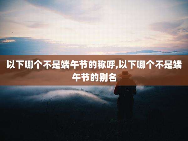 以下哪个不是端午节的称呼,以下哪个不是端午节的别名