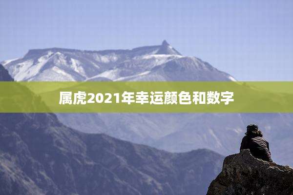 属虎2021年幸运颜色和数字