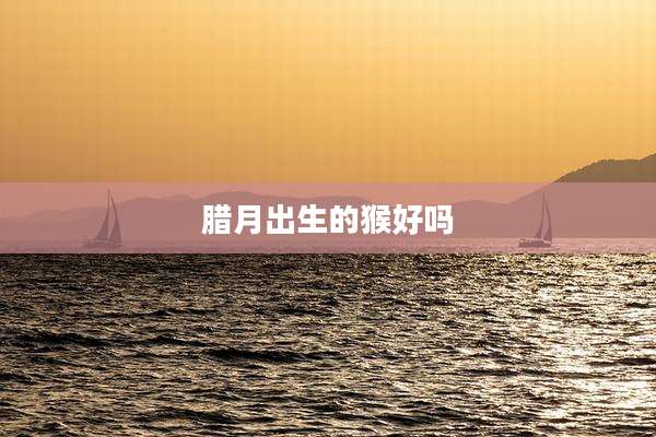 腊月出生的猴好吗
