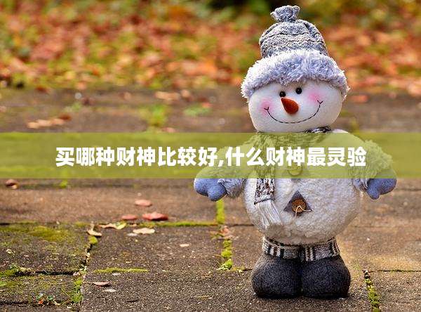买哪种财神比较好,什么财神最灵验