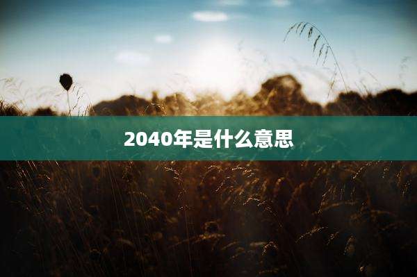 2040年是什么意思