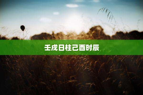 壬戌日柱己酉时辰