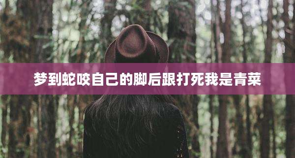 梦到蛇咬自己的脚后跟打死我是青菜
