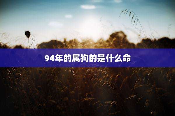 94年的属狗的是什么命