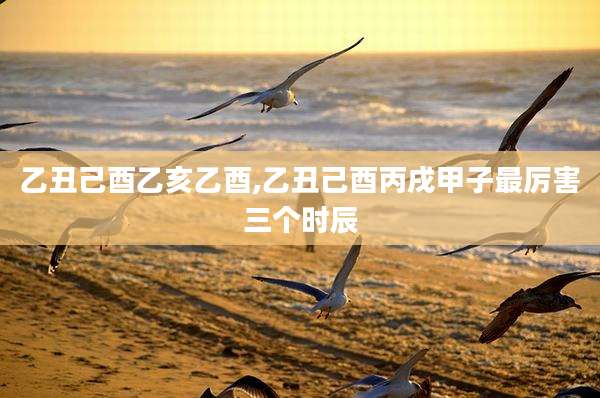 乙丑己酉乙亥乙酉,乙丑己酉丙戌甲子最厉害三个时辰