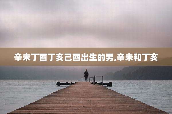 辛未丁酉丁亥己酉出生的男,辛未和丁亥
