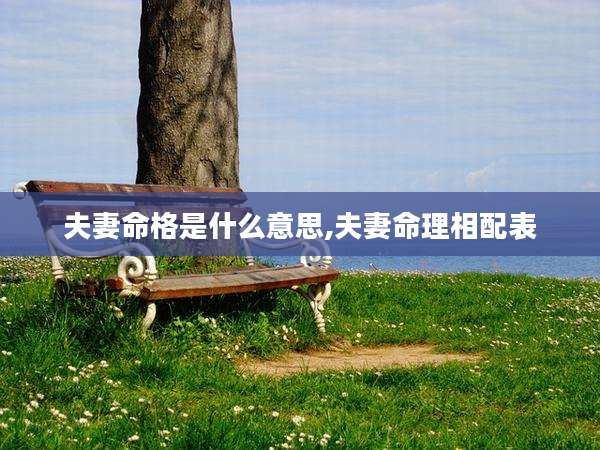 夫妻命格是什么意思,夫妻命理相配表