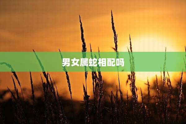 男女属蛇相配吗