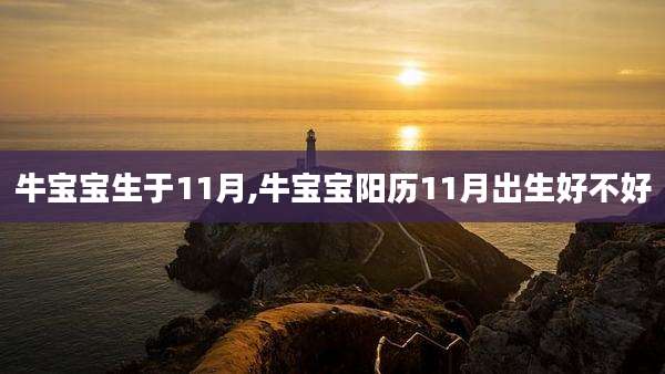 牛宝宝生于11月,牛宝宝阳历11月出生好不好