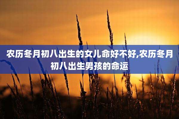 农历冬月初八出生的女儿命好不好,农历冬月初八出生男孩的命运