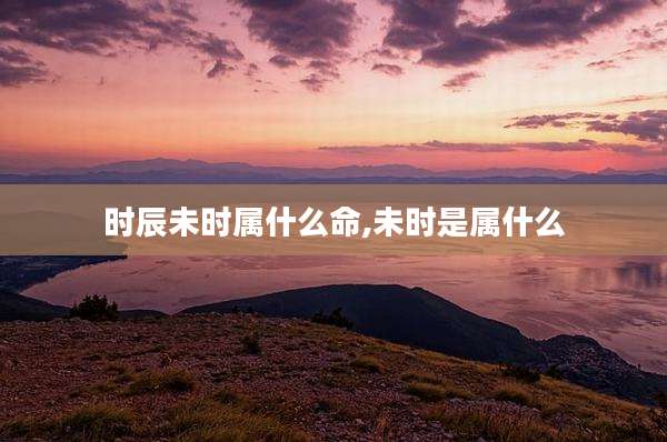 时辰未时属什么命,未时是属什么