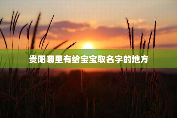 贵阳哪里有给宝宝取名字的地方