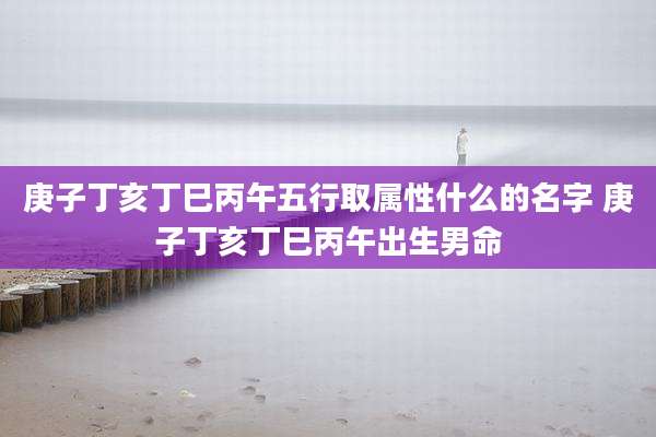 庚子丁亥丁巳丙午五行取属性什么的名字 庚子丁亥丁巳丙午出生男命
