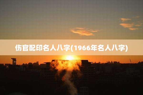 伤官配印名人八字(1966年名人八字)
