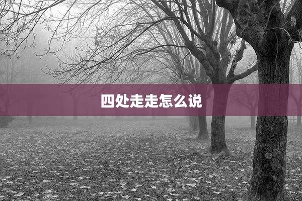 四处走走怎么说