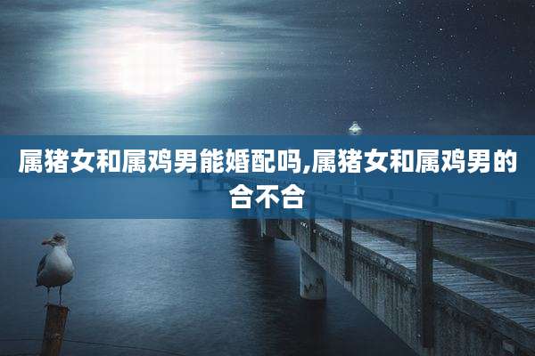 属猪女和属鸡男能婚配吗,属猪女和属鸡男的合不合