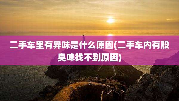 二手车里有异味是什么原因(二手车内有股臭味找不到原因)