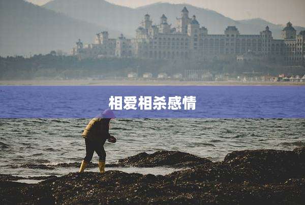 相爱相杀感情