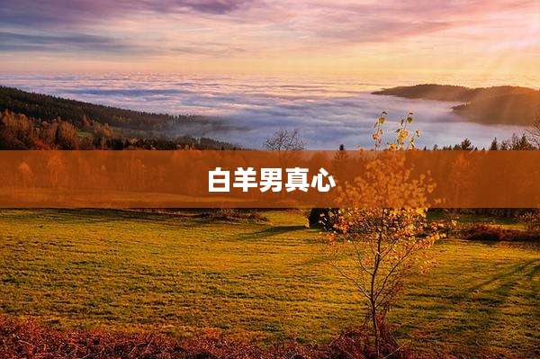 白羊男真心