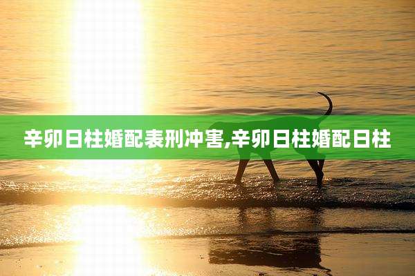 辛卯日柱婚配表刑冲害,辛卯日柱婚配日柱