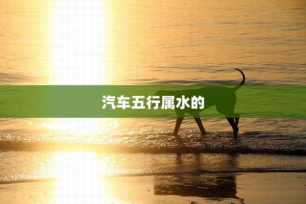 汽车五行属水的