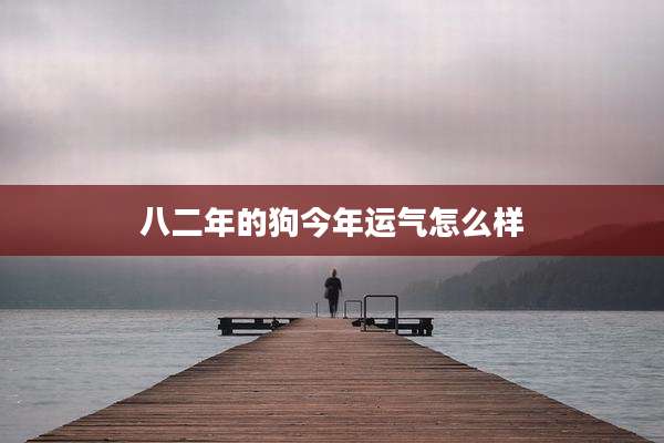 八二年的狗今年运气怎么样