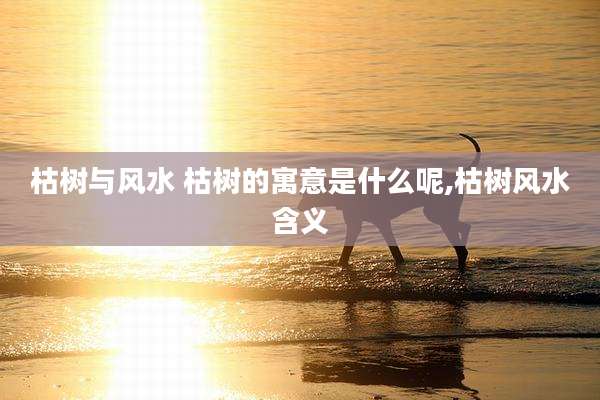枯树与风水 枯树的寓意是什么呢,枯树风水含义