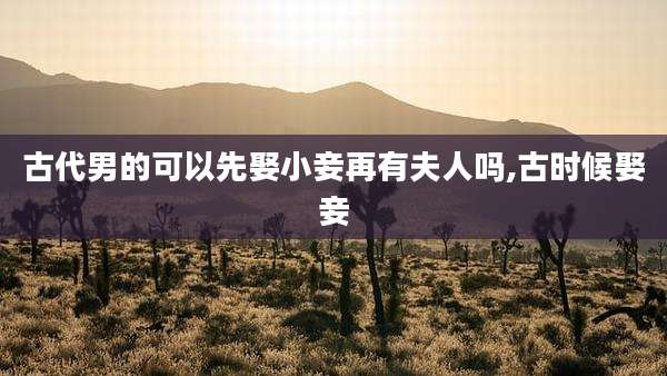 古代男的可以先娶小妾再有夫人吗,古时候娶妾