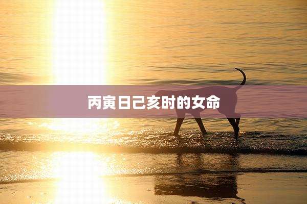 丙寅日己亥时的女命