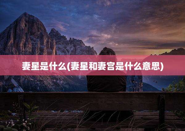 妻星是什么(妻星和妻宫是什么意思)