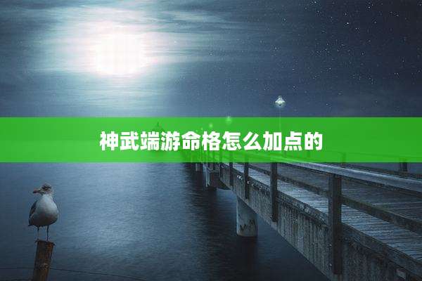 神武端游命格怎么加点的