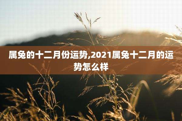 属兔的十二月份运势,2021属兔十二月的运势怎么样