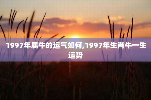 1997年属牛的运气如何,1997年生肖牛一生运势