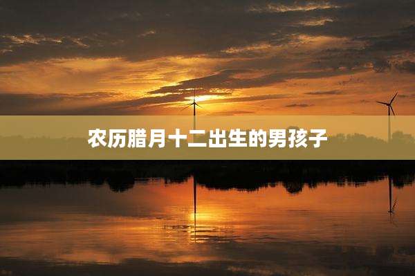 农历腊月十二出生的男孩子
