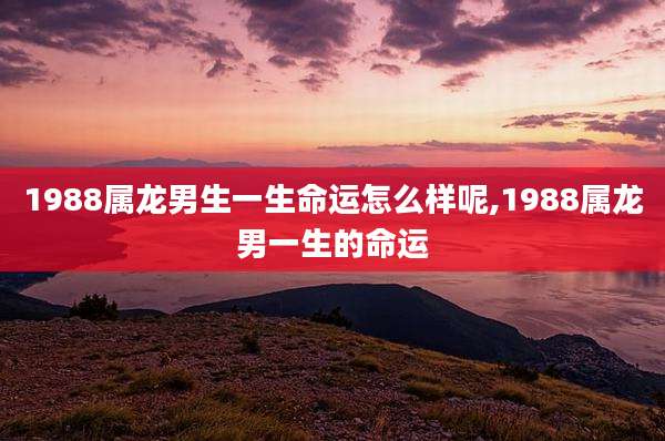 1988属龙男生一生命运怎么样呢,1988属龙男一生的命运