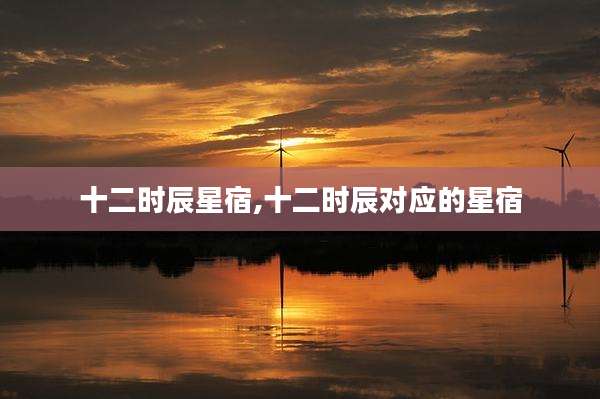 十二时辰星宿,十二时辰对应的星宿