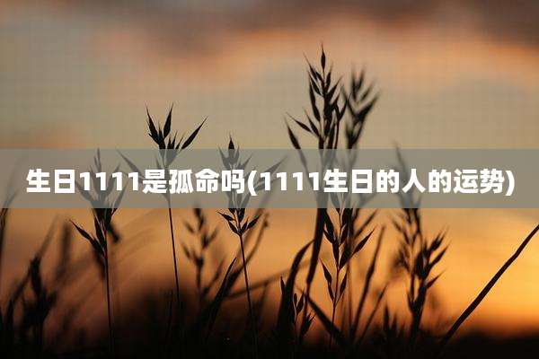 生日1111是孤命吗(1111生日的人的运势)