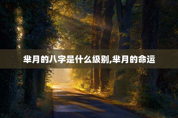 芈月的八字是什么级别,芈月的命运