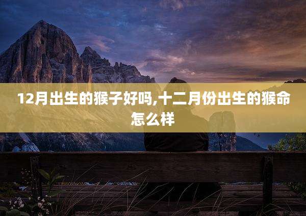 12月出生的猴子好吗,十二月份出生的猴命怎么样