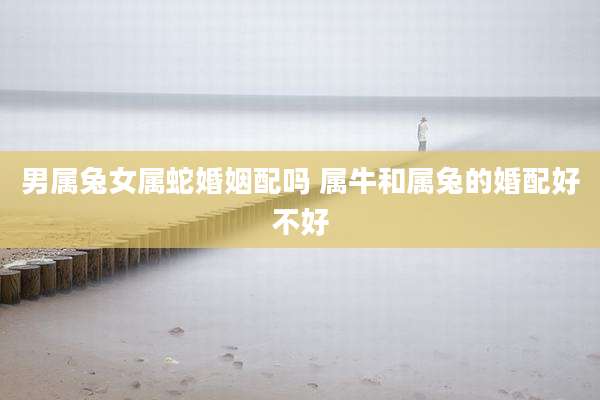 男属兔女属蛇婚姻配吗 属牛和属兔的婚配好不好