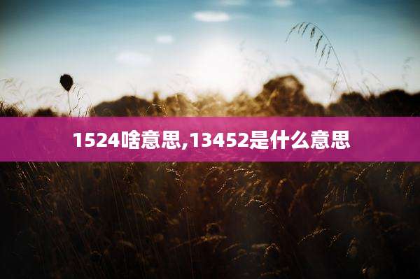 1524啥意思,13452是什么意思