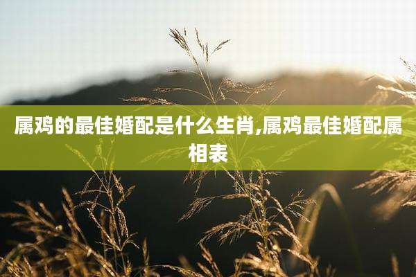 属鸡的最佳婚配是什么生肖,属鸡最佳婚配属相表