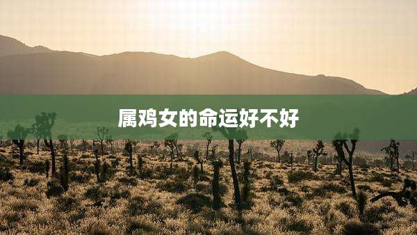 属鸡女的命运好不好