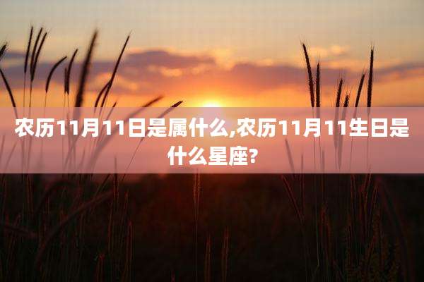 农历11月11日是属什么,农历11月11生日是什么星座?