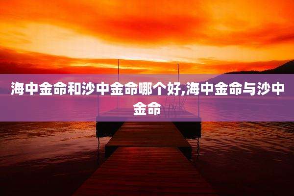 海中金命和沙中金命哪个好,海中金命与沙中金命