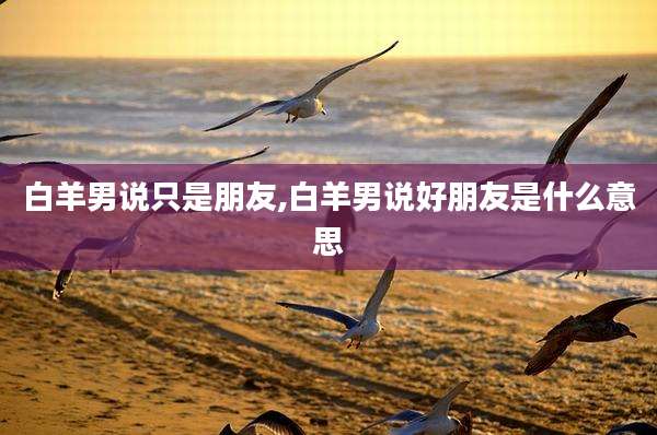 白羊男说只是朋友,白羊男说好朋友是什么意思