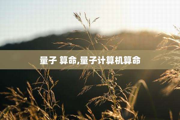 量子 算命,量子计算机算命